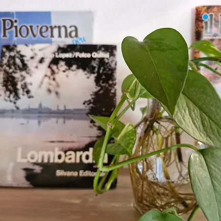 Balcony View * ליירנה